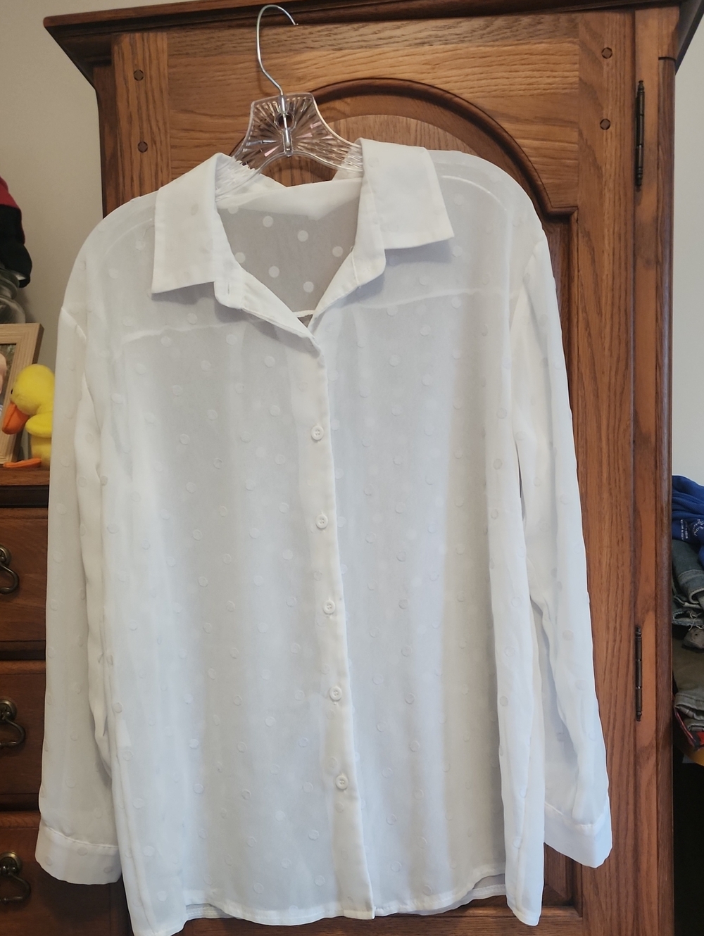 White Sheer Swiss Dot Button-Up Blouse
